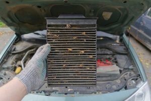 Meineke Car Care | Cabin Air Filter | Clarksville TN